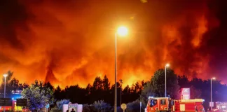 На південному заході Франції евакуювали понад 10 тисяч людей через пожежу Пожежа в сосновому лісі на південному заході Франції