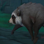 Blizzard is set to add the internet’s most famous raccoon to World of Warcraft