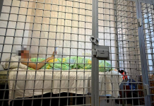 Organiser of an exhibition near Kyiv arrested