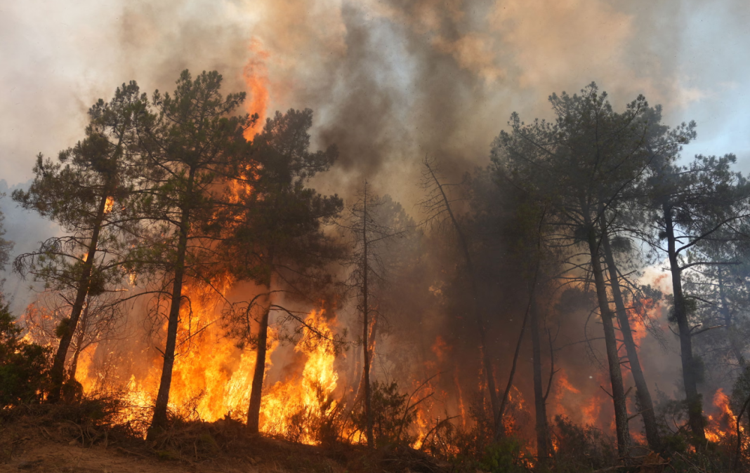Firefighters are putting out a forest fire amid thick smoke Firefighters are putting out a forest fire amid thick smoke