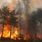 Понад 250 тисяч людей евакуювали через пожежі у Франції та Іспанії