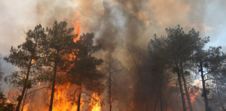 More than 250,000 people have been evacuated due to fires in France and Spain Firefighters are putting out a forest fire amid thick smoke