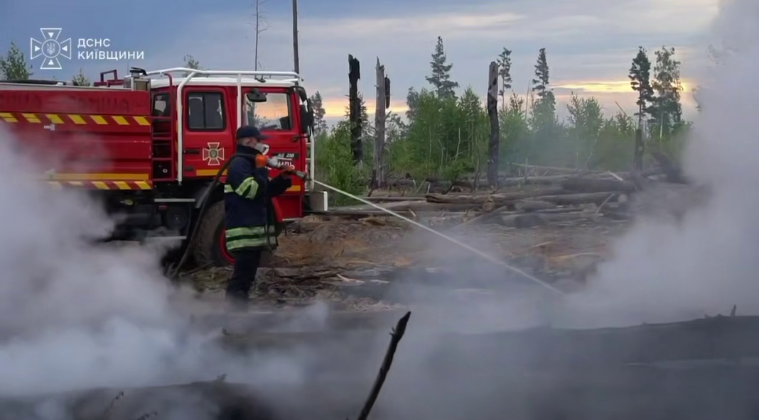 Fires in the Chernobyl Exclusion Zone