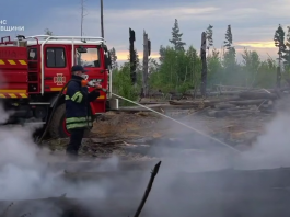 Пожежі в Чорнобильській зоні відчуження