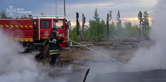 Fires in the Chernobyl Exclusion Zone
