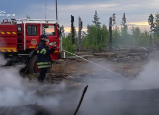 Пожежі в Чорнобильській зоні відчуження