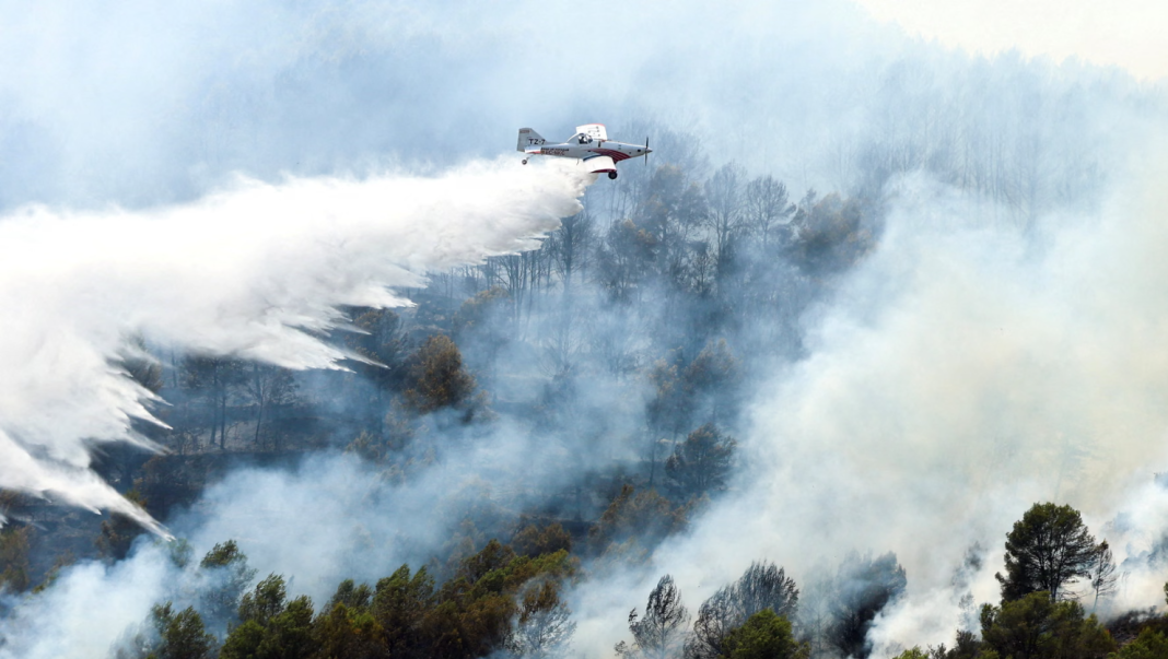 Firefighters are tackling a forest fire in sweltering heat