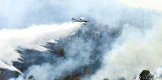 Three firefighters have died whilst fighting fires in Greece Firefighters are tackling a forest fire in sweltering heat