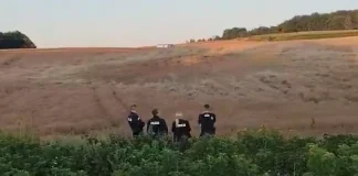 Кратер у полі поблизу Тарнави-Колонії після падіння ракети
