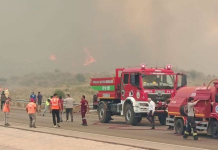 Thick smoke over a wooded area in southern Turkey during the fires