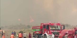 Thick smoke over a wooded area in southern Turkey during the fires