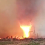 У Чорнобильській зоні виник вогняний смерч