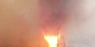 A fire tornado has formed in the Chernobyl exclusion zone Вогняний смерч у Чорнобилі під час лісової пожежі.