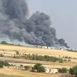 The Russians destroyed the Avangard poultry farm in the Kherson region