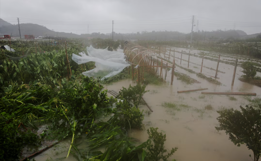 Typhoon "Bavi" Typhoon "Bavi" caused damage in China and Taiwan