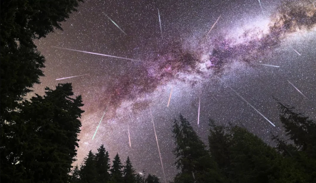 The 2026 Perseid meteor shower over the night sky and the forest