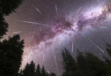 The Perseid meteor shower 2026: when and where to watch it in Ukraine The 2026 Perseid meteor shower over the night sky and the forest