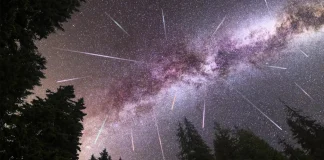 The Perseid meteor shower 2026: when and where to watch it in Ukraine The 2026 Perseid meteor shower over the night sky and the forest