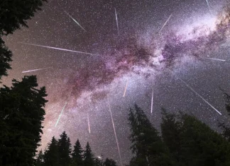 The Perseid meteor shower 2026: when and where to watch it in Ukraine The 2026 Perseid meteor shower over the night sky and the forest