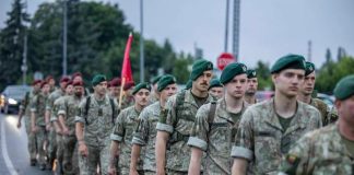 Lithuania sees record number of army volunteers: over 8,000 applicants Литовські військові під час церемонії