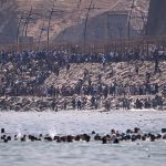 60,000 migrants have made their way to Ceuta and Melilla: 43 dead