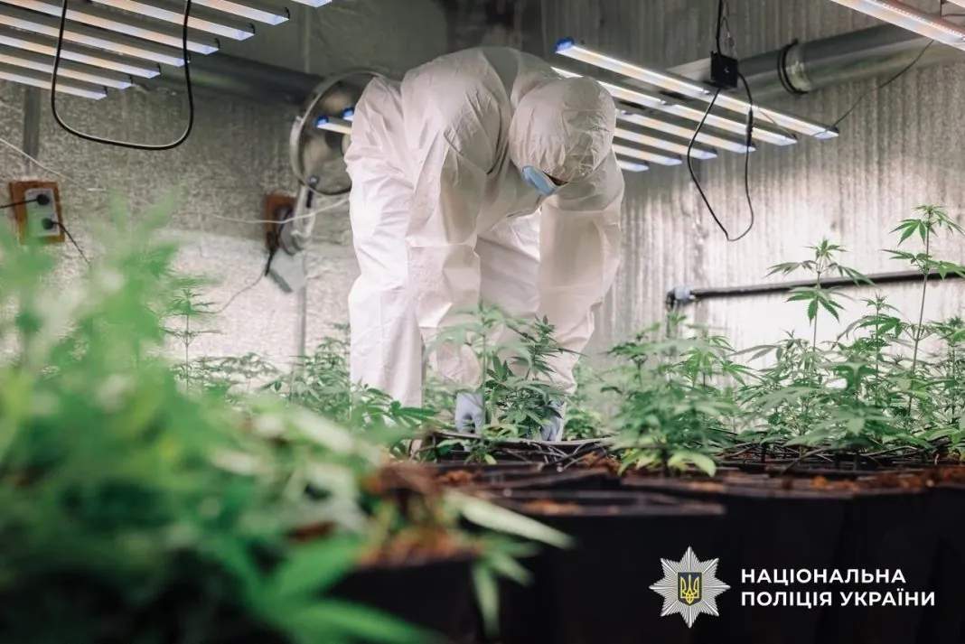 Наркозлочинність Поліцейський під час оперативних дій у межах боротьби з наркозлочинністю