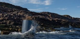 A suspected fragment of a Russian missile has been found off the coast of Norway Металевий предмет у воді поблизу Кіберга, який очевидці описали як можливий фрагмент ракети
