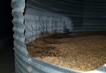 A state of emergency has been declared in the Rostov Region of the Russian Federation due to a disruption in grain exports Grain at a grain silo in the Rostov Region of Russia