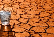 Дефіцит води посилюється: тривога в Молдові й заходи в Нідерландах Низький рівень води та посуха в Європі призводить до глобального дефіциту.