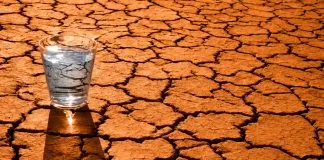 Дефіцит води посилюється: тривога в Молдові й заходи в Нідерландах Низький рівень води та посуха в Європі призводить до глобального дефіциту.