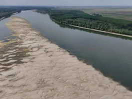 На заході України вода в річках може сягнути історичного мінімуму Мілка річка на тлі сухої погоди в західній Україні