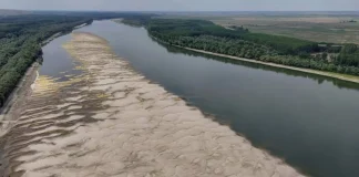На заході України вода в річках може сягнути історичного мінімуму Мілка річка на тлі сухої погоди в західній Україні