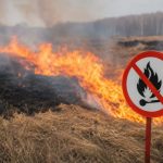 A state of high fire danger has been declared in Kyiv and the surrounding region