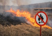 A dry grass fire during a state of high alert in the Kyiv region