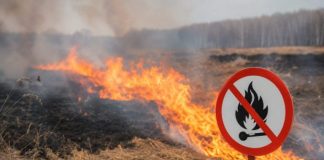 Пожежа сухої трави під час надзвичайної небезпеки на Київщині