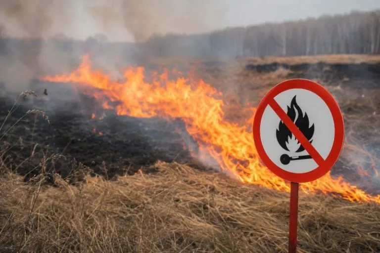 Пожежа сухої трави під час надзвичайної небезпеки на Київщині