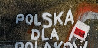 ЦПД заявив про хвилю фейків про українців у польському TikTok Антиукраїнські настрої в Польщі