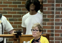 Gothic themes in ChatGPT: a teenager has been accused of murder Arjun Aravind with his lawyer, Debra DeWitt, during a court hearing in Concord