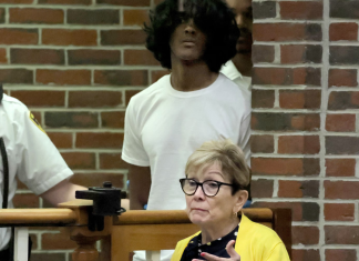 Gothic themes in ChatGPT: a teenager has been accused of murder Arjun Aravind with his lawyer, Debra DeWitt, during a court hearing in Concord