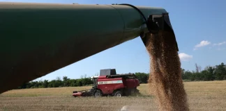 Агроекспорт України впав на 57% через ризики для морської логістики Збір зерна в Україні