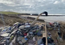In Wales, the route of a power cable has been altered to avoid disturbing Dobi’s «grave» An unofficial memorial to Dobi on Freshwater West beach in Wales