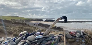 In Wales, the route of a power cable has been altered to avoid disturbing Dobi’s «grave» An unofficial memorial to Dobi on Freshwater West beach in Wales