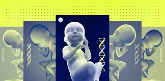 Генетичний відбір ембріонів за IQ, зростом і зовнішністю