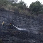 Кліматичні збитки дедалі сильніше тиснуть на бюджети Європи