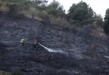 Наслідки пожежі в Європі