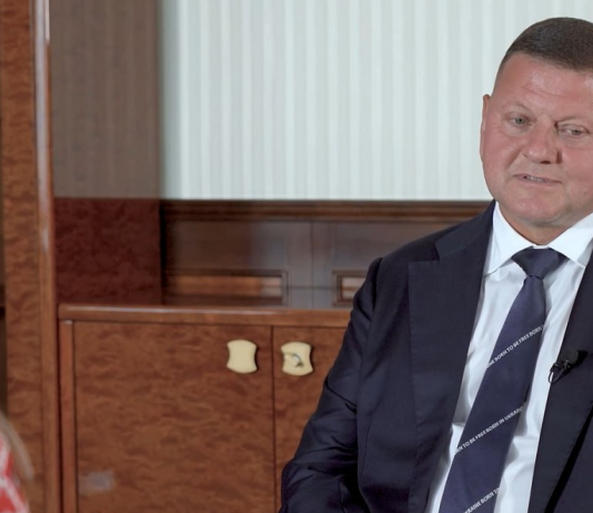 Zaluzhny is urging his partners to recognise the need for a global solution Valerii Zaluzhnyi during an interview