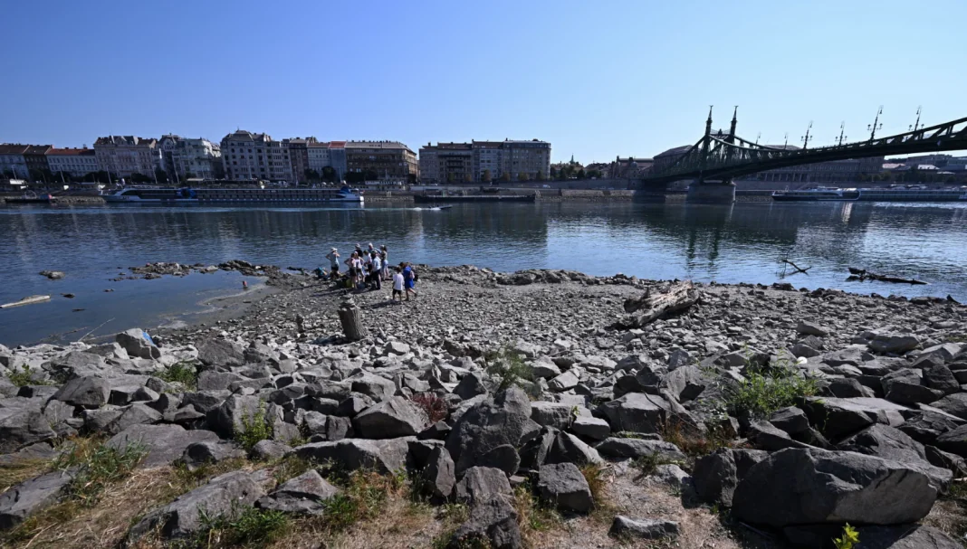 Пересохле русло річки Пересохле русло річки під час хвилі екстремальної спеки в Європі