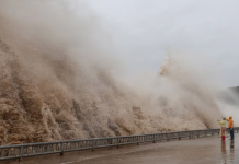 Typhoon «Dolphin» is heading towards the east coast of China Typhoon "Dolphin" is approaching China