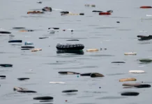 Кількість загиблих під час масового переходу до Сеути зросла до 72 Речі мігрантів біля узбережжя іспанської Сеути