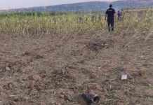 Російськаракета «Бандероль» впала в Молдові біля Талмази Кукурудзяне поле неподалік села Талмаза в Молдові, де ймовірно впала ракета-дрон